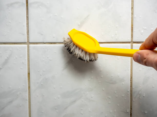 Professional Mold Removal in Hart, MI