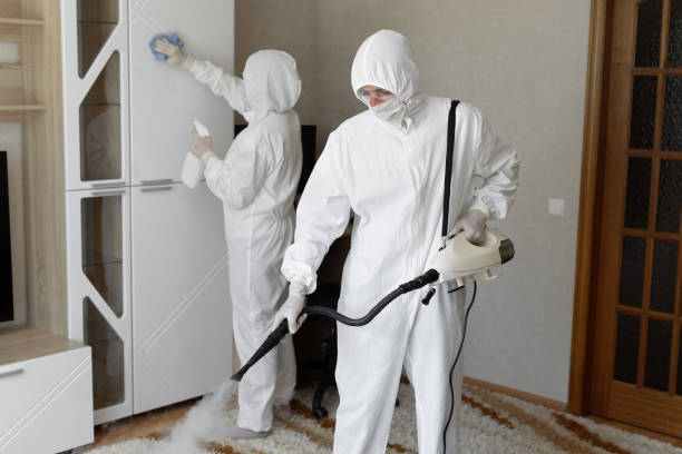 Crawl Space Mold Removal in Hart, MI