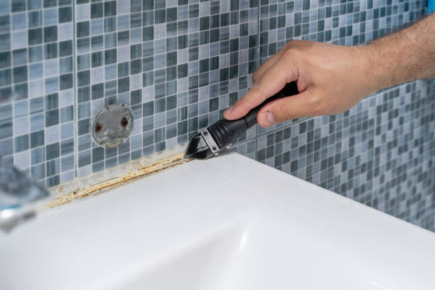 Best Home Mold Removal  in Hart, MI